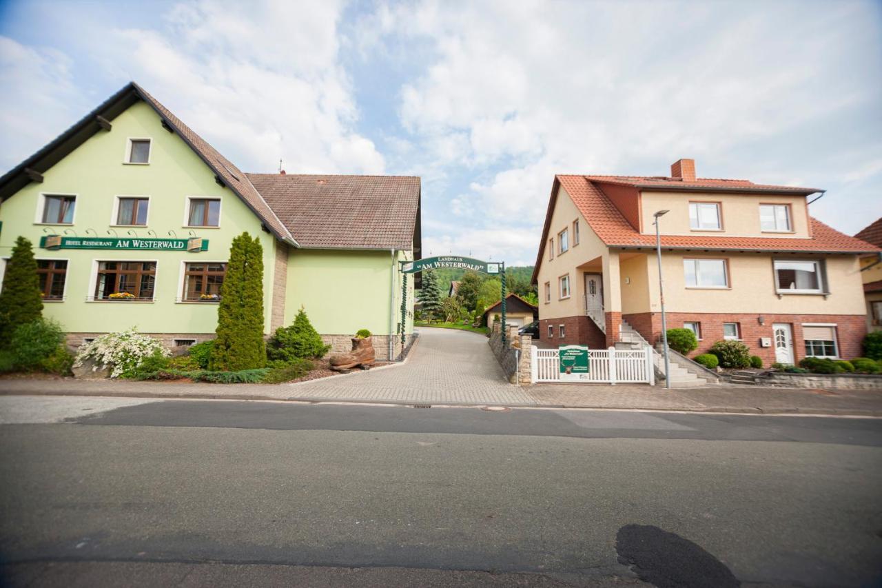 Ferienhaus Og1 "Westerwald Blick" Martinfeld المظهر الخارجي الصورة