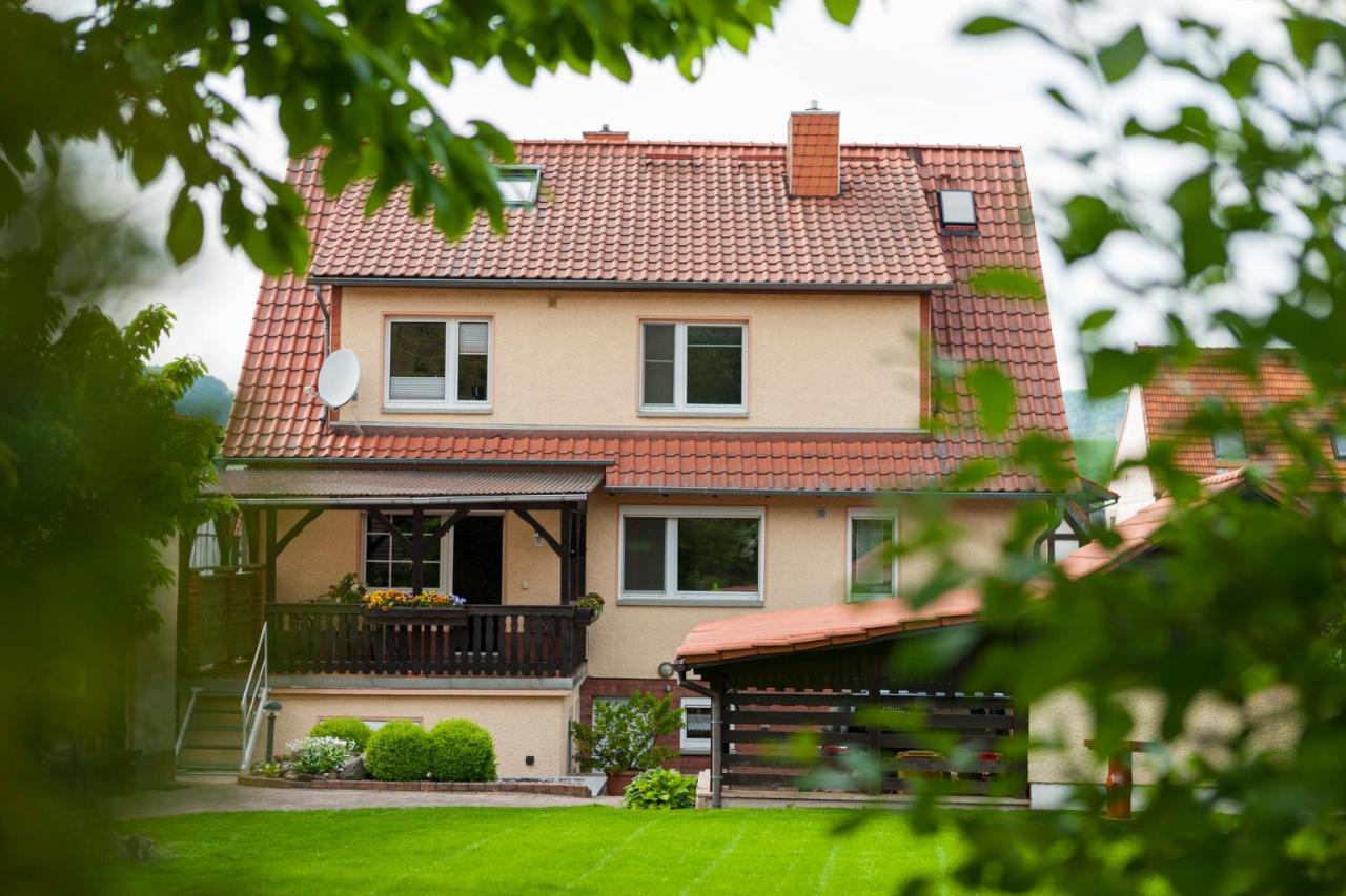 Ferienhaus Og1 "Westerwald Blick" Martinfeld المظهر الخارجي الصورة
